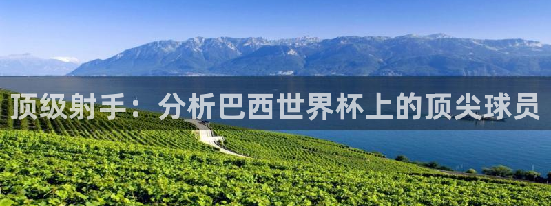 世界杯足球赛2026赛程时间:顶级射手:分析巴西世界杯上的顶尖球员