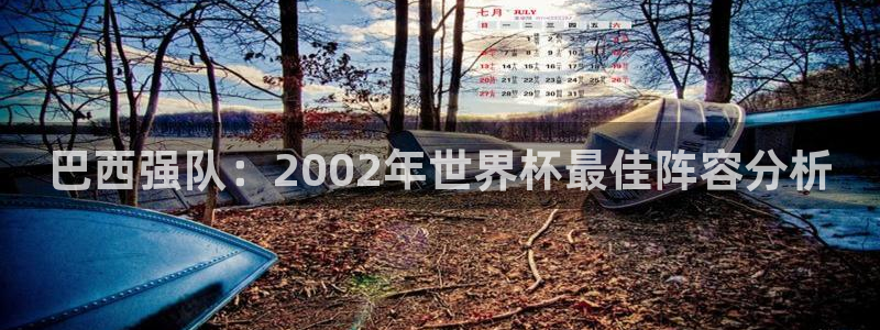 世界杯亚洲区预选赛:巴西强队:2002年世界杯最佳阵容分析
