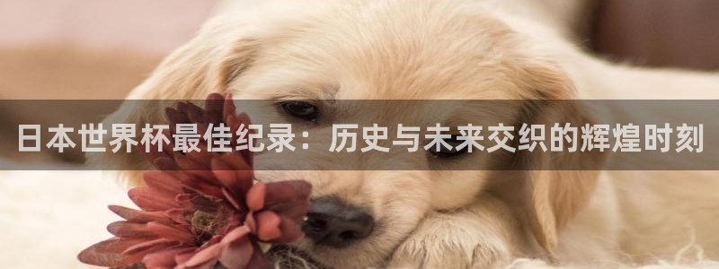 世界杯比赛时间:日本世界杯最佳纪录:历史与未来交织的辉煌时刻