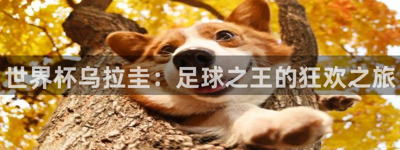 世界杯预选赛赛程时间表:世界杯乌拉圭:足球之王的狂欢之旅