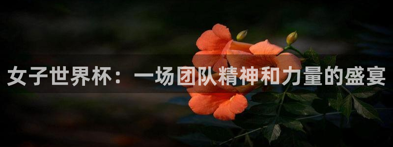 2026年足球世界杯赛程时间表:女子世界杯:一场团队精神和力量的盛宴