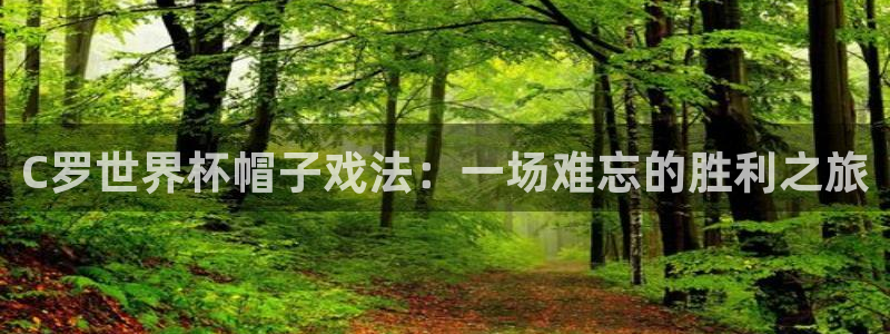 2026世界杯南美区积分榜:C罗世界杯帽子戏法:一场难忘的胜利之旅