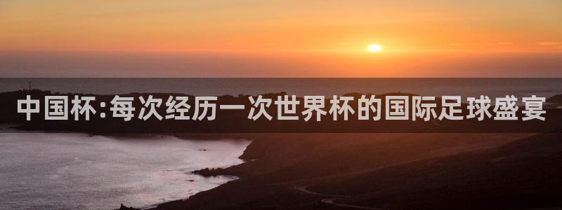 足球世界杯:中国杯:每次经历一次世界杯的国际足球盛宴